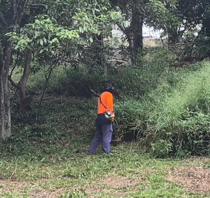 Whipper snipping around a property
